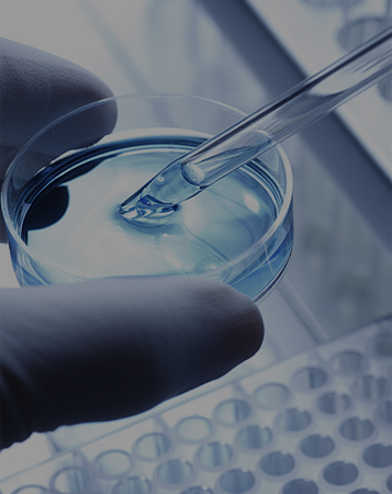 分子/細胞生物學