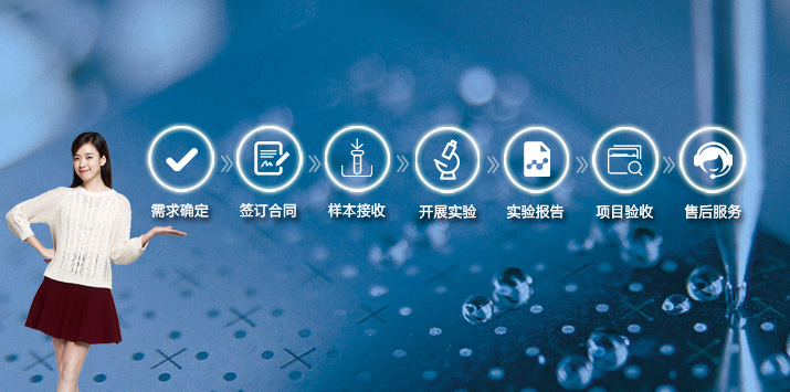 標準化服務流程